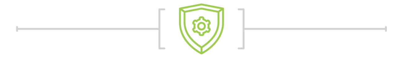 Enhanced Security divider graphic