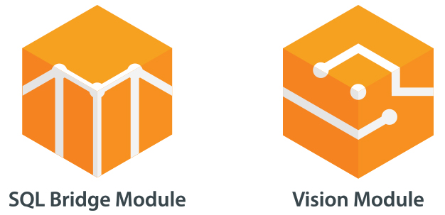 SQL Bridge and Vision Modules